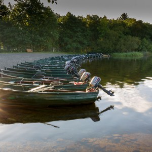 Menteith14Sep15_2503