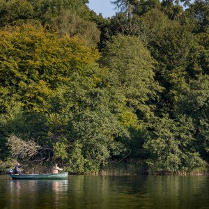 Menteith14Sep15_2540