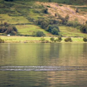 Menteith14Sep15_2596