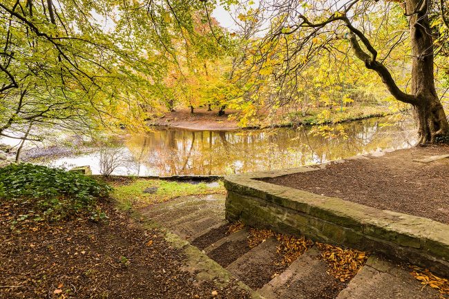 Cramond11Nov17_9597