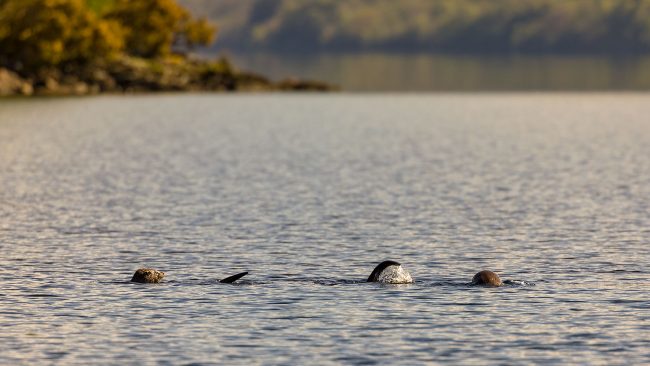 Lochaber2018_3741