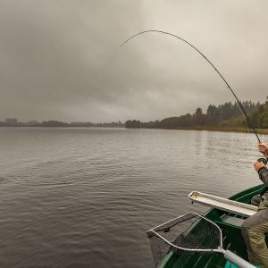Menteith20Oct18_6247