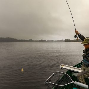 Menteith20Oct18_6257