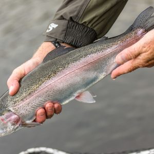 Menteith20Oct18_6386