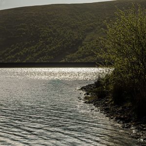 Frandy21May22_0497-HDR