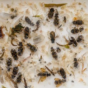 Menteith22Oct22_4622