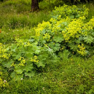 Frandy24Jun2023_6819