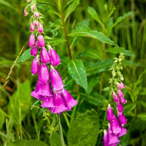 Frandy24Jun2023_6828