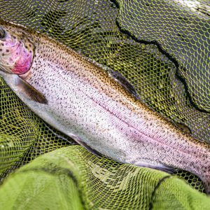 Frandy24Jun2023_6854