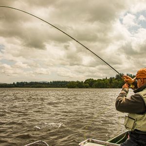 Menteith01Jul23_7048 Menteith01Jul23_7048