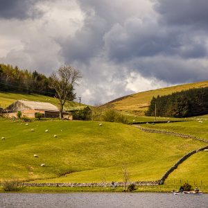 Glencorse27Apr24_4606