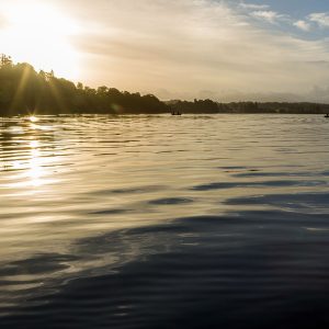 Menteith19Oct24__3755