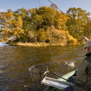 Menteith19Oct24__3974