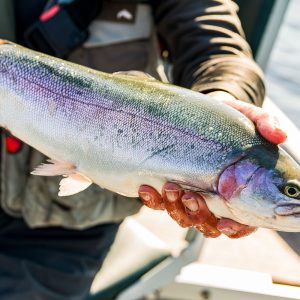 Cobbinshaw10May25_2546