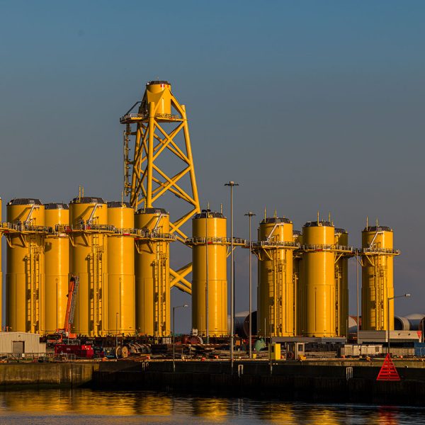 WesternHarbour04Mar26_6103