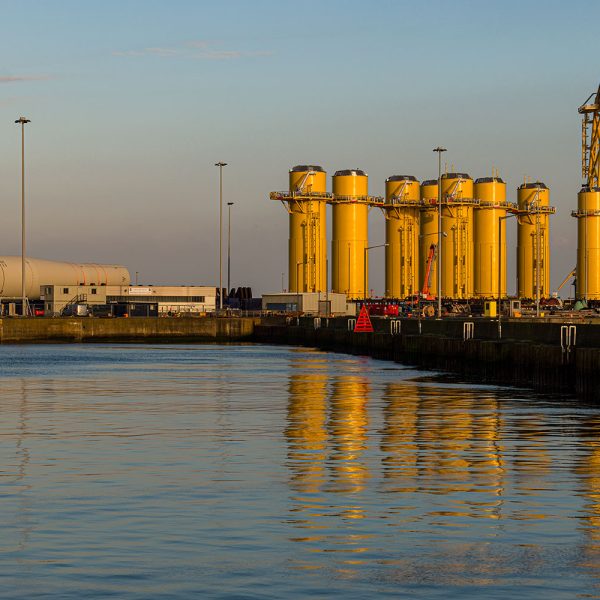 WesternHarbour04Mar26_6106