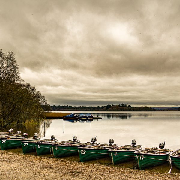 Menteith15Apr26_0643 Menteith15Apr26_0643