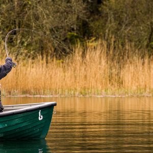 Menteith15Apr26_0678 Menteith15Apr26_0678