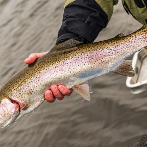 Menteith15Apr26_0701 Menteith15Apr26_0701