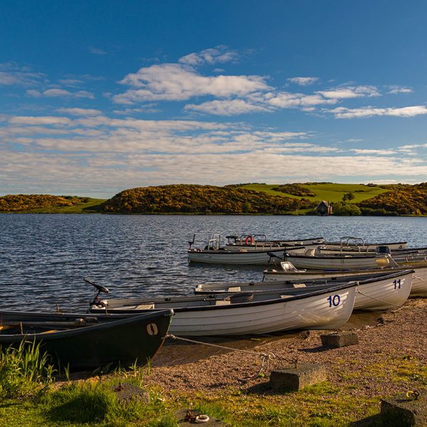 Coldingham16May2026_8765