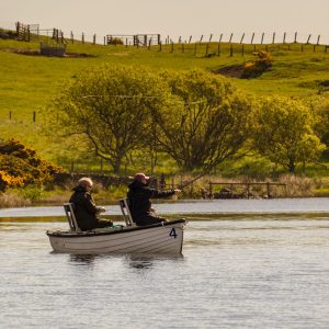 Coldingham16May2026_8822