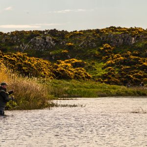 Coldingham16May2026_8862